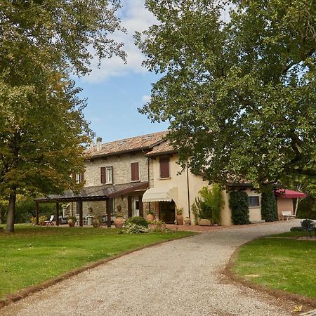 Agriturismo Virano19 Castrocaro Terme Exteriér fotografie